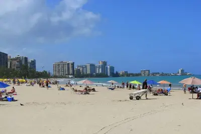 Image de Beach Studio Isla Verde-Sea Dollar #5
