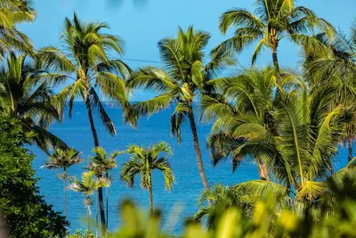 Image de Fabulous Condo with Amazing Ocean Views - Building 22! Remaining 2025 $350