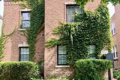 Image de Sunny Evanston Studio: Stylish Decor, Hardwood Floors, Fenced Yard & Parking
