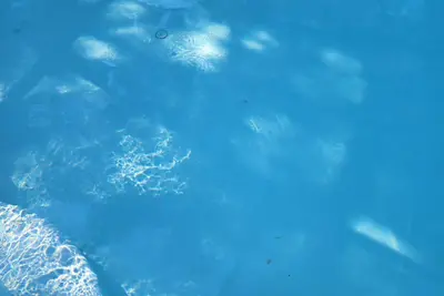 Image de Cozy, Comfy Pool Home 3\/2