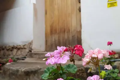 Image de Bello Apartamento A 5 Minutos Del Centro HISTÓRICO ( Pet Friendly)