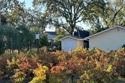 Image de Private Cottage 5 minutes from Downtown Healdsburg and Windsor on country lane