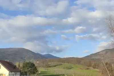 Image de Bel appartement au cœur du vignoble, proche Colmar