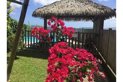 Image de Les Joyaux De Balata - Emeraude