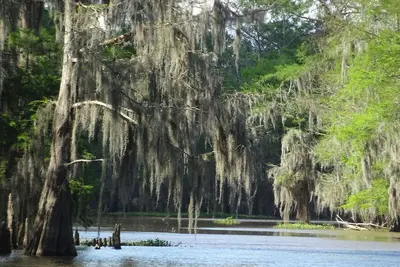 Image de New Guest House on Bayou w/Hot tub & Spectacular view