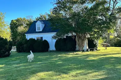 Image de Cottage and working farm in heart of Virginia wine country near Uva & Woodberry