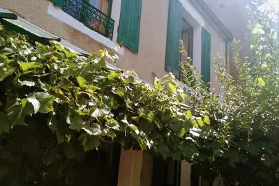 Image de Maison chaleureuse, wifi gratuit, jardin privé fleuri à 20 min. de Vézelay.