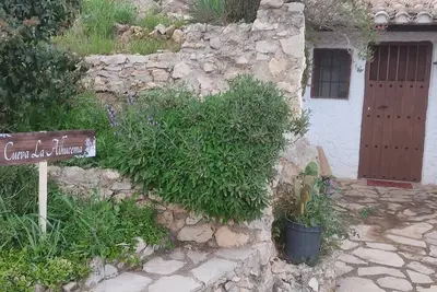 Image de Cave to disconnect
