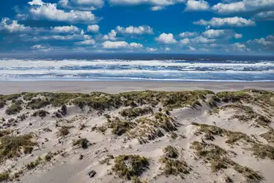 Image de Ocean's Edge - Tropical Oceanview Oasis