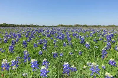 Image de Country Comfort Apartment 8 miles from Round Top