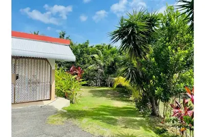 Image de Edge of El Yunque Rainforest Air conditioned