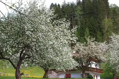 Image de Maison de vacances Hart im Zillertal pour 1 - 7 personnes avec 3 chambres à coucher - Ferme