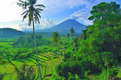 Image de Villa With Swim Up Pool in Karangasem