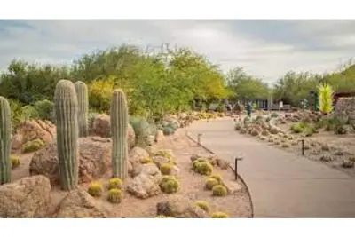 Image de Newly Remodeled Gilbert Home w/ private pool