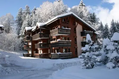 Image de Location 4\/6 Personnes - Le Fayard- 800m Du Centre