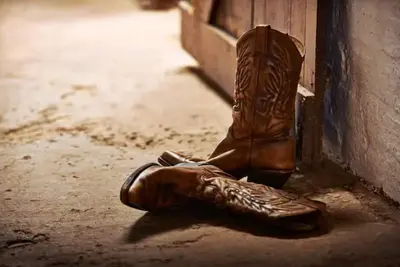 Image de A Little Bit Country, a Little Mcm Rock 'n' Roll!