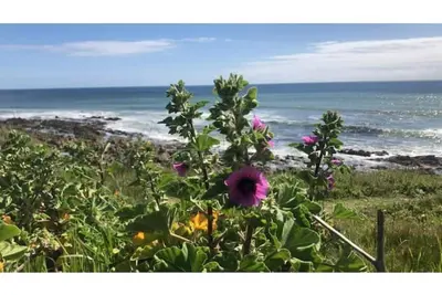 Audierne\/Plouhinec : A 1 km de la mer, dans un parc clos avec parking