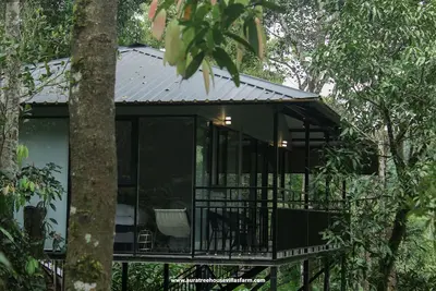 Image de Aura Tree House Villa Farm