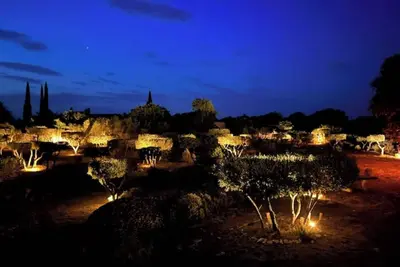 Image de Villa de luxe en face du célèbre Pont-du-Gard