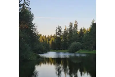 Image de Serene waterfront cottage