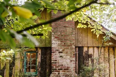 Image de Cozy lakeside cabin! Rustic retreat w\/ private dock- Pet Friendly!