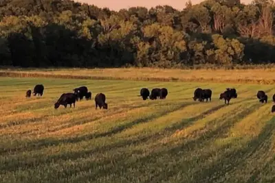 Image de Oak Meadow Farmhouse