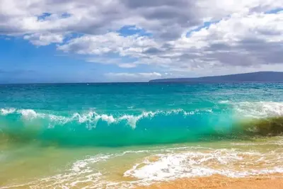 Image de Beautiful Condo, Beach Across & Nearby shopping/Restaurants.