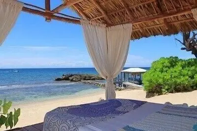 Image de Pristine Reef steps away from Private Beach.