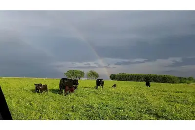 Image de Big Barn Mow