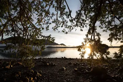 Inlet I  Forest Views I Marina I Near D. T I Cozy