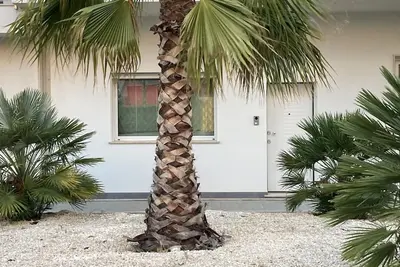 House with pleasant panorama