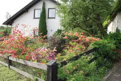 Image de Appartement de vacances Hachenburg pour 1 - 3 personnes avec 2 chambres à coucher - Maison de vacanc