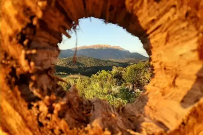 Image de Fio de Neu Loft Apartment