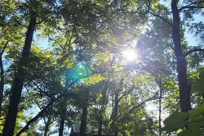 Image de Riverfront Treehouse Camp