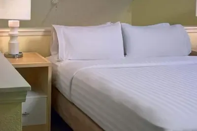 Image de Enjoy the Rock and Roll Hall of Fame Tour! Pet-friendly, Free Parking