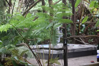 Image de Volcano Rainforest Retreat with a Hot Tub