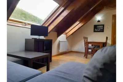 Attic apartment with velux erta 3