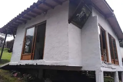 Image de alto palmas 2. 0