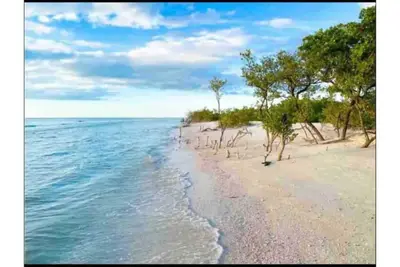 Image de *Pool* 8. 5 miles to Honeymoon Island. 4 bdr