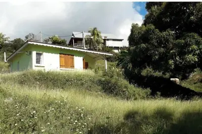 Image de cocon de verdure