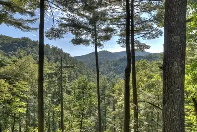 Image de The Cabin at Snail Trail | Hot Tub | Amazing Views