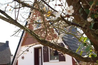 Image de Vacation home Am Yachthafen in Harlesiel - Holidays in a cozy roof-only house