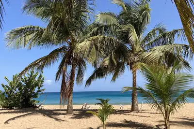 Image de Coco-mango Apt. C vue sur mer à 250 m de la Plage de la Perle