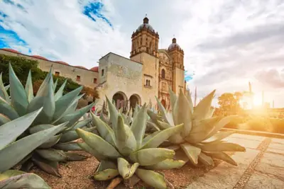 Image de quiet and safe place 15 minutes from the zocalo.