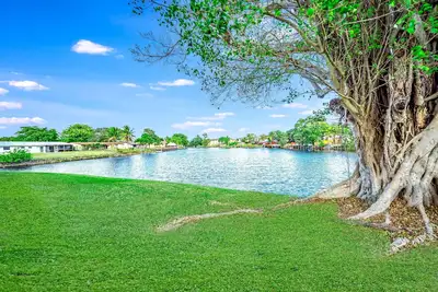 Image de Water View - Stocked - Palm Wave Says