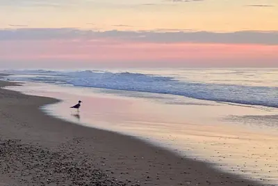 Image de Labor Day Weekend Special Sea Colony Oceanfront Penthouse 3 Br 2. 5 Ba sleeps 8