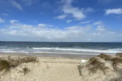 Image de Cozy Beach Condo