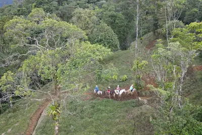 Image de Rio Celeste Nature View