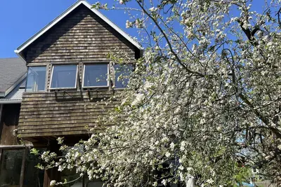 Image de Private Contemporary Artist's Tree House on two acres with perennial gardens.