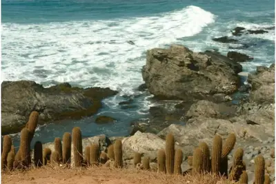 Image de Beautiful House, Wave\/Surf Steps. Point of Wolves